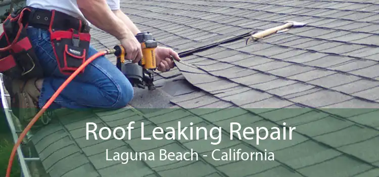 Roof Leaking Repair Laguna Beach - California