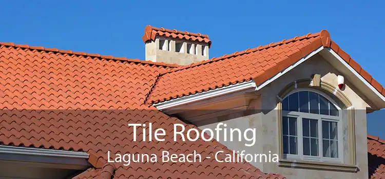 Tile Roofing Laguna Beach - California